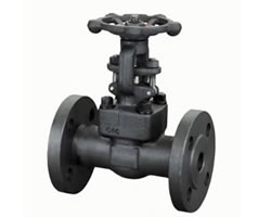 Z41Y-16/320C 锻钢法兰闸阀