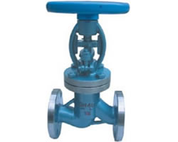 WJ41H 不锈钢波纹管截止阀