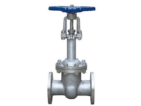 DZ41Y型PN16~PN40法兰连接低温闸阀