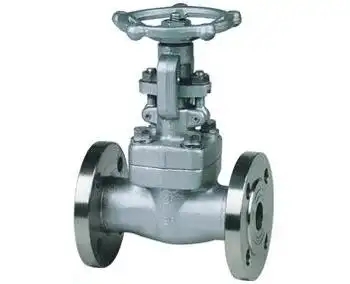 Z41H、Z41Y型150（Lb）~600（Lb）钢制楔式闸阀