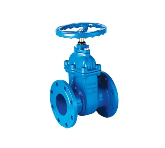 Z45T—16型法兰连接铁制闸阀